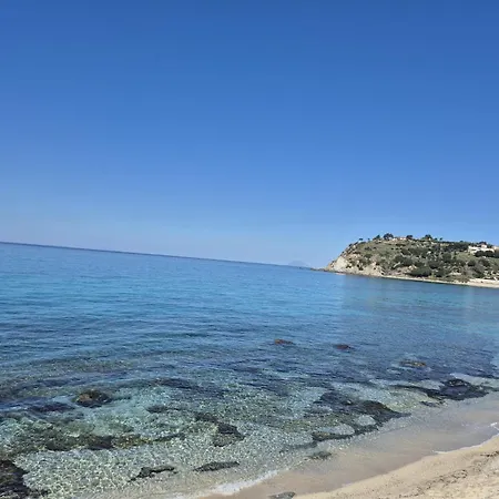 Leone * Santa Maria (Vibo Valentia)