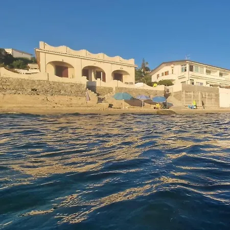 Leone * Santa Maria (Vibo Valentia)