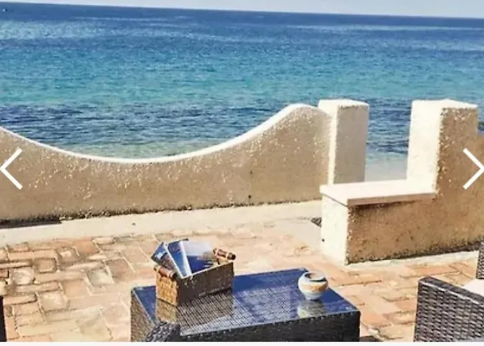 Leone * Santa Maria (Vibo Valentia)